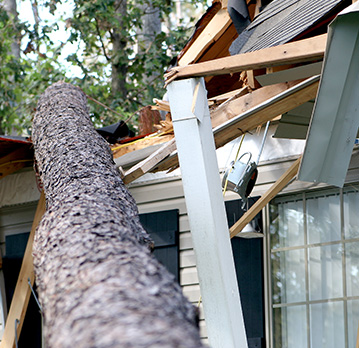 A tree has fallen on a home causing damage