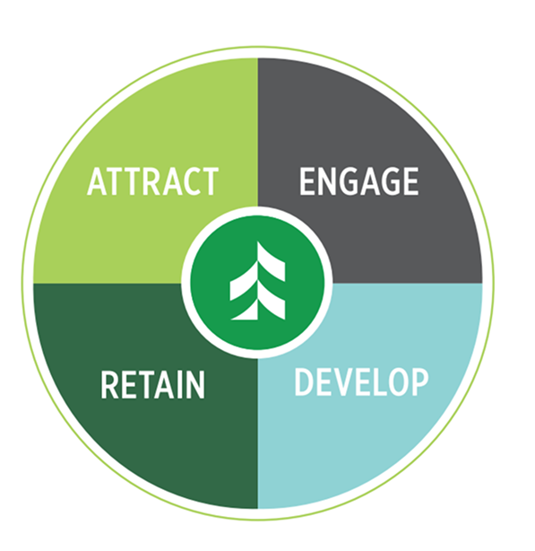 Attract, Engage, Retain, Develop